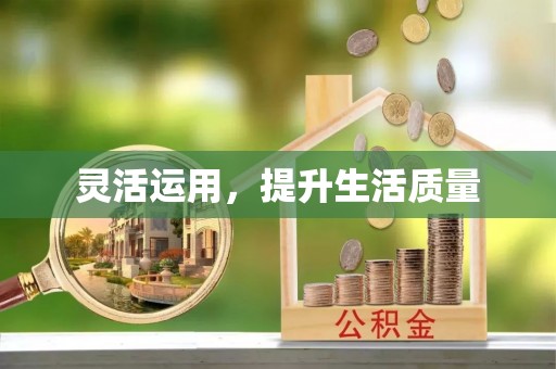 尼勒克灵活运用，提升生活质量