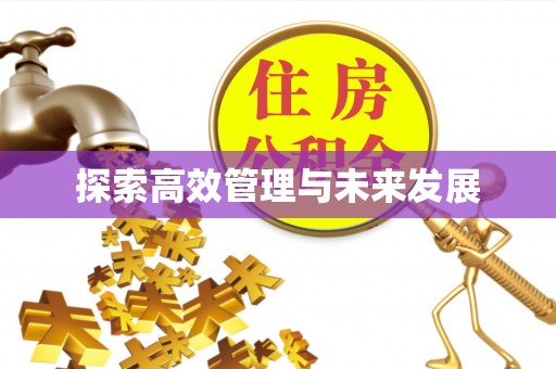 尼勒克探索高效管理与未来发展