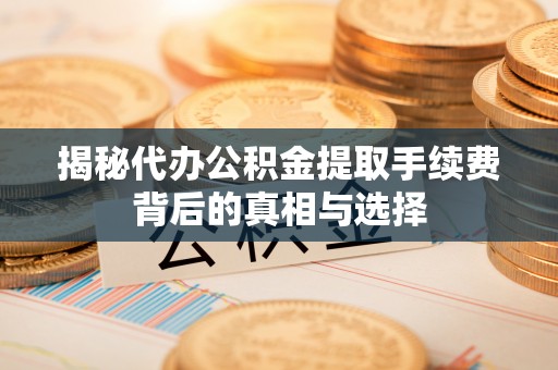 尼勒克揭秘代办公积金提取手续费背后的真相与选择