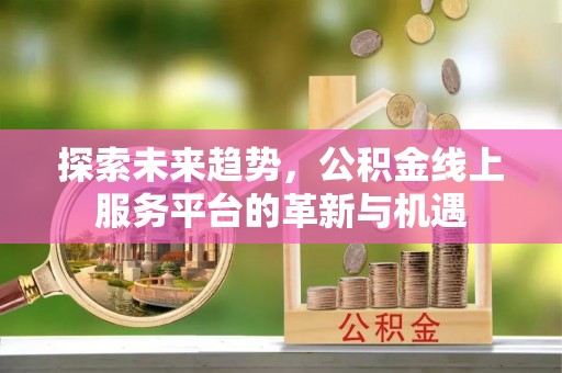 尼勒克探索未来趋势，公积金线上服务平台的革新与机遇