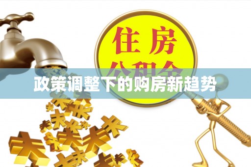 尼勒克政策调整下的购房新趋势