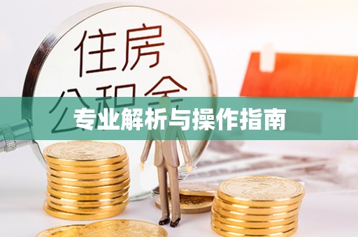 尼勒克专业解析与操作指南