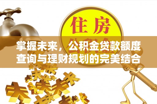 尼勒克掌握未来，公积金贷款额度查询与理财规划的完美结合