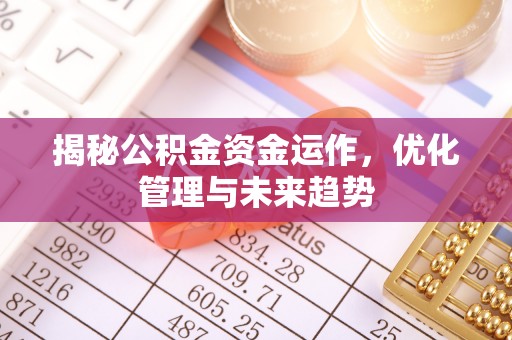尼勒克揭秘公积金资金运作，优化管理与未来趋势