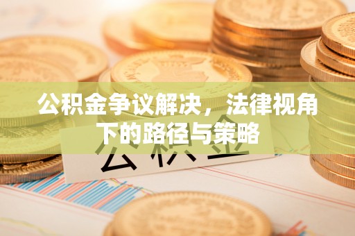 尼勒克公积金争议解决，法律视角下的路径与策略