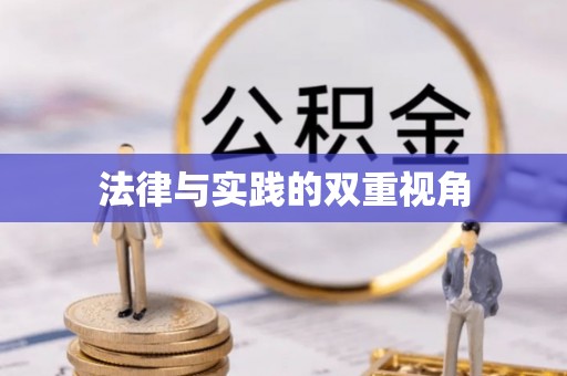 尼勒克法律与实践的双重视角