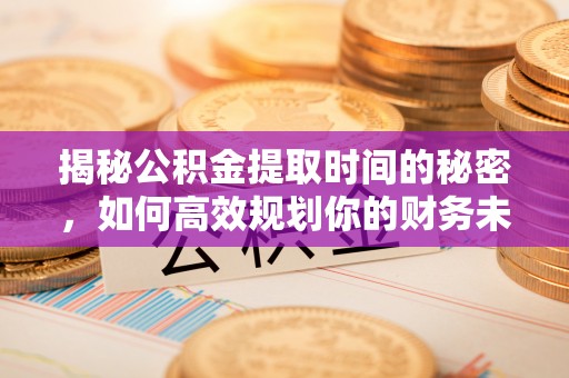 尼勒克揭秘公积金提取时间的秘密，如何高效规划你的财务未来