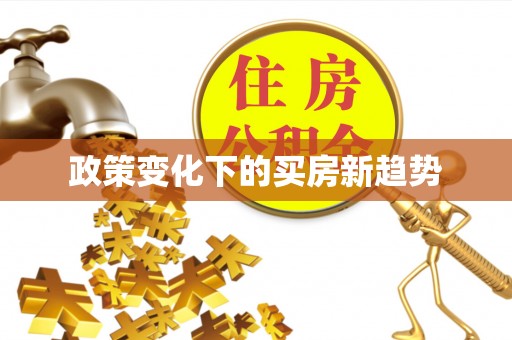尼勒克政策变化下的买房新趋势