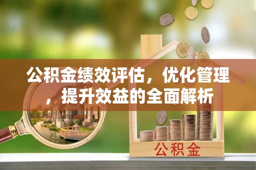 尼勒克公积金绩效评估，优化管理，提升效益的全面解析