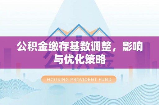尼勒克公积金缴存基数调整，影响与优化策略