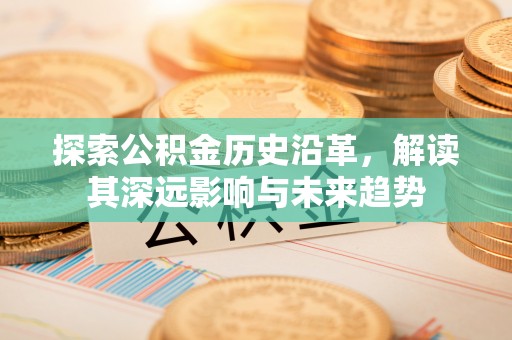 尼勒克探索公积金历史沿革，解读其深远影响与未来趋势
