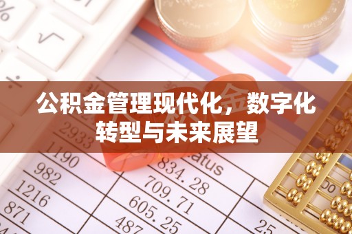 尼勒克公积金管理现代化，数字化转型与未来展望