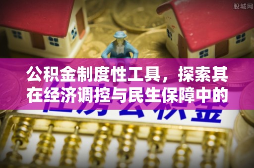 尼勒克公积金制度性工具，探索其在经济调控与民生保障中的重要作用
