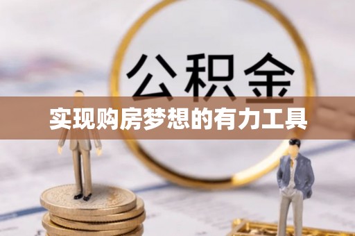 尼勒克实现购房梦想的有力工具