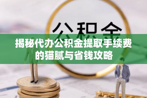 尼勒克揭秘代办公积金提取手续费的猫腻与省钱攻略