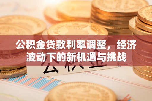 尼勒克公积金贷款利率调整，经济波动下的新机遇与挑战