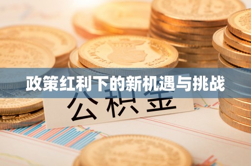 尼勒克政策红利下的新机遇与挑战