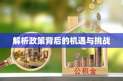 尼勒克解析政策背后的机遇与挑战