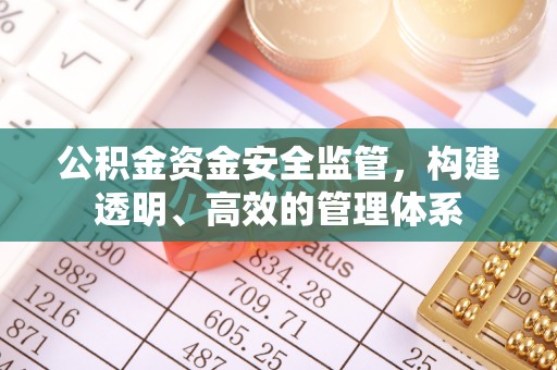 尼勒克公积金资金安全监管，构建透明、高效的管理体系