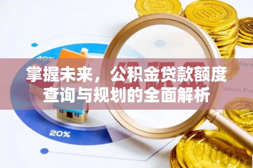 尼勒克掌握未来，公积金贷款额度查询与规划的全面解析
