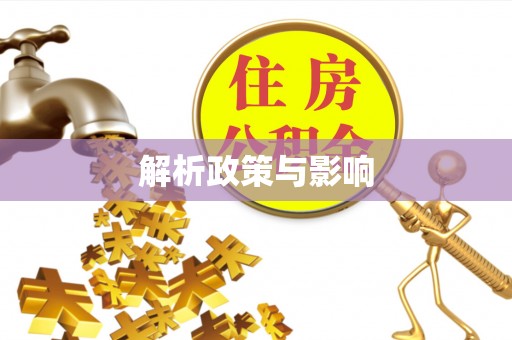 尼勒克解析政策与影响