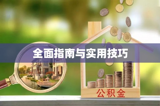 尼勒克全面指南与实用技巧