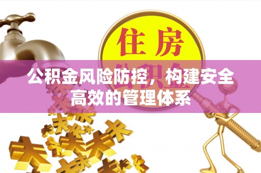 尼勒克公积金风险防控，构建安全高效的管理体系