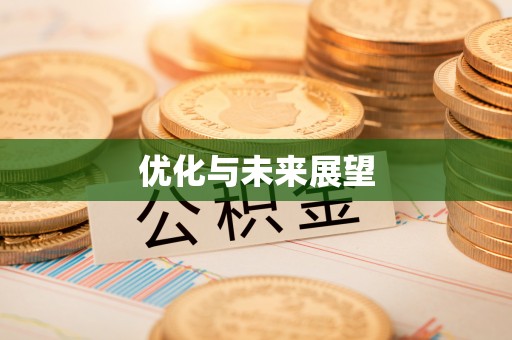 尼勒克优化与未来展望