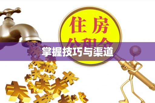 尼勒克掌握技巧与渠道