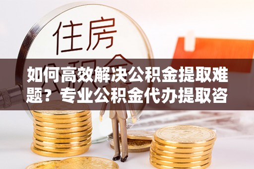 尼勒克如何高效解决公积金提取难题？专业公积金代办提取咨询服务来助力