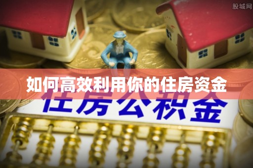 尼勒克如何高效利用你的住房资金