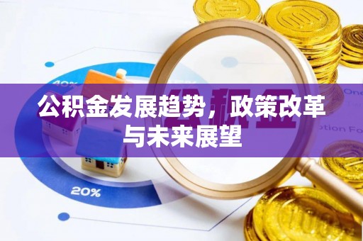尼勒克公积金发展趋势，政策改革与未来展望