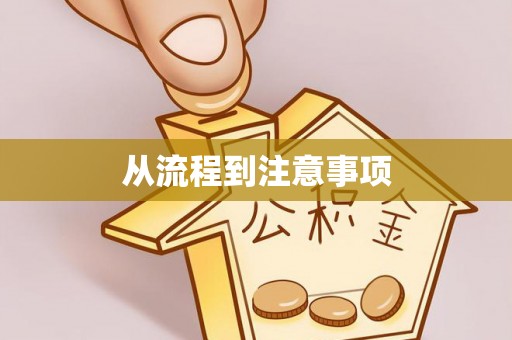 尼勒克从流程到注意事项
