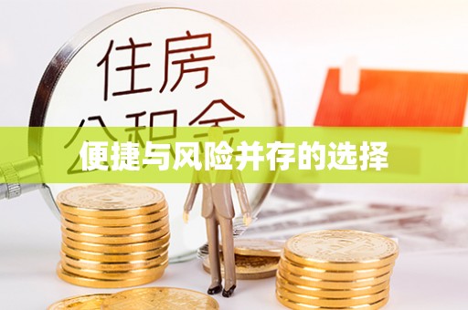 尼勒克便捷与风险并存的选择
