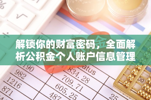 尼勒克解锁你的财富密码，全面解析公积金个人账户信息管理与优化