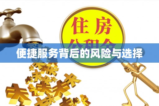 尼勒克便捷服务背后的风险与选择