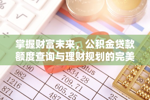 尼勒克掌握财富未来，公积金贷款额度查询与理财规划的完美结合